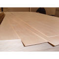 Hot! China Commercial Plywood